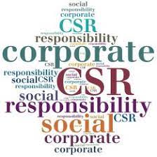 8 Features of Corporate Social Responsibility (CSR) in India